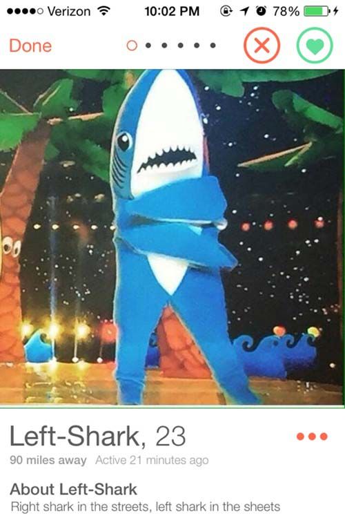 funny-tinder-profile-left-shark funny-tinder-profile-left-shark