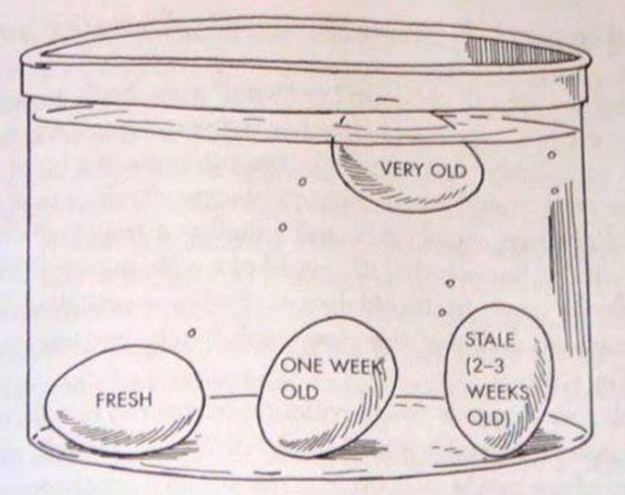 via https://www.reddit.com/r/lifehacks/comments/4s7clo/how_to_test_the_age_of_an_egg/ via https://www.reddit.com/r/lifehacks/comments/4s7clo/how_to_test_the_age_of_an_egg/