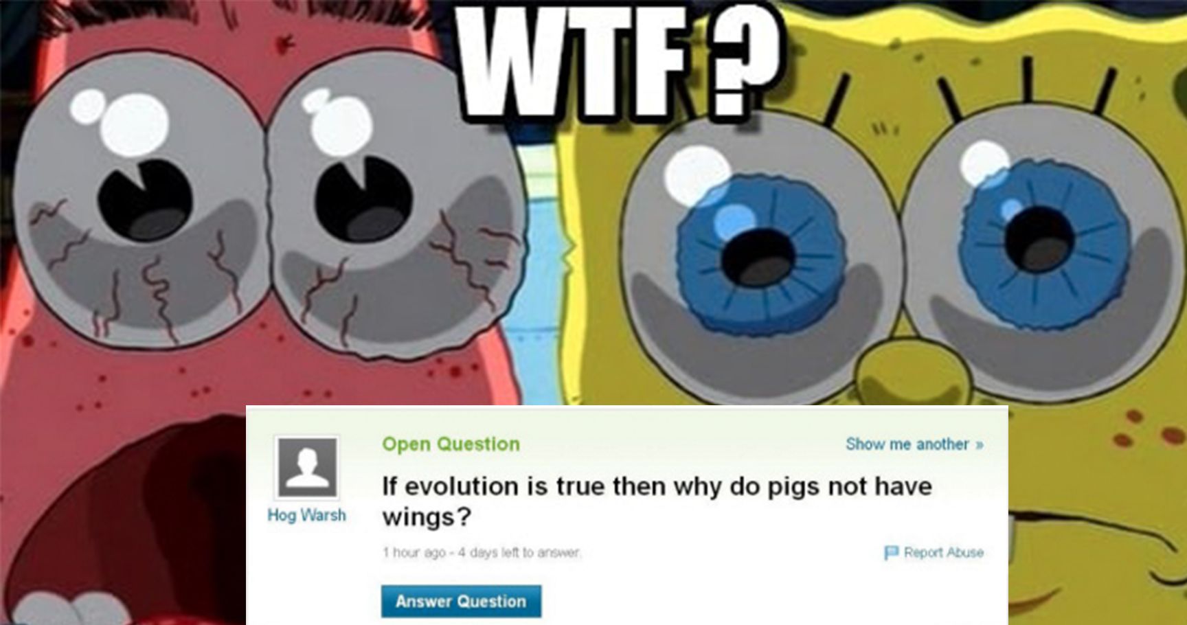 15 “WTF” Yahoo Answers That Will Actually Leave You Laughing 15 “WTF” Yahoo Answers That Will Actually Leave You Laughing