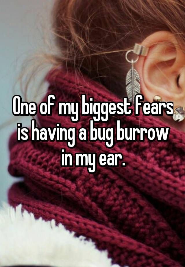 Via Whisper.sh Via Whisper.sh