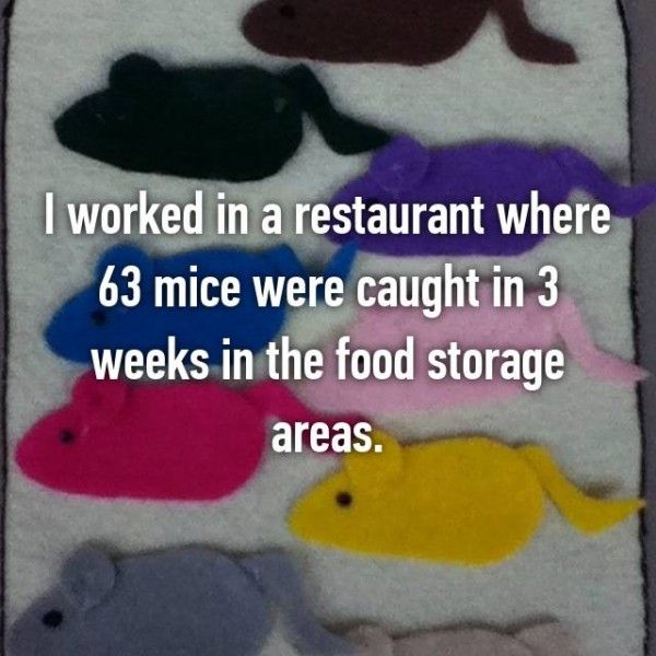 Via: whisper.sh Via: whisper.sh