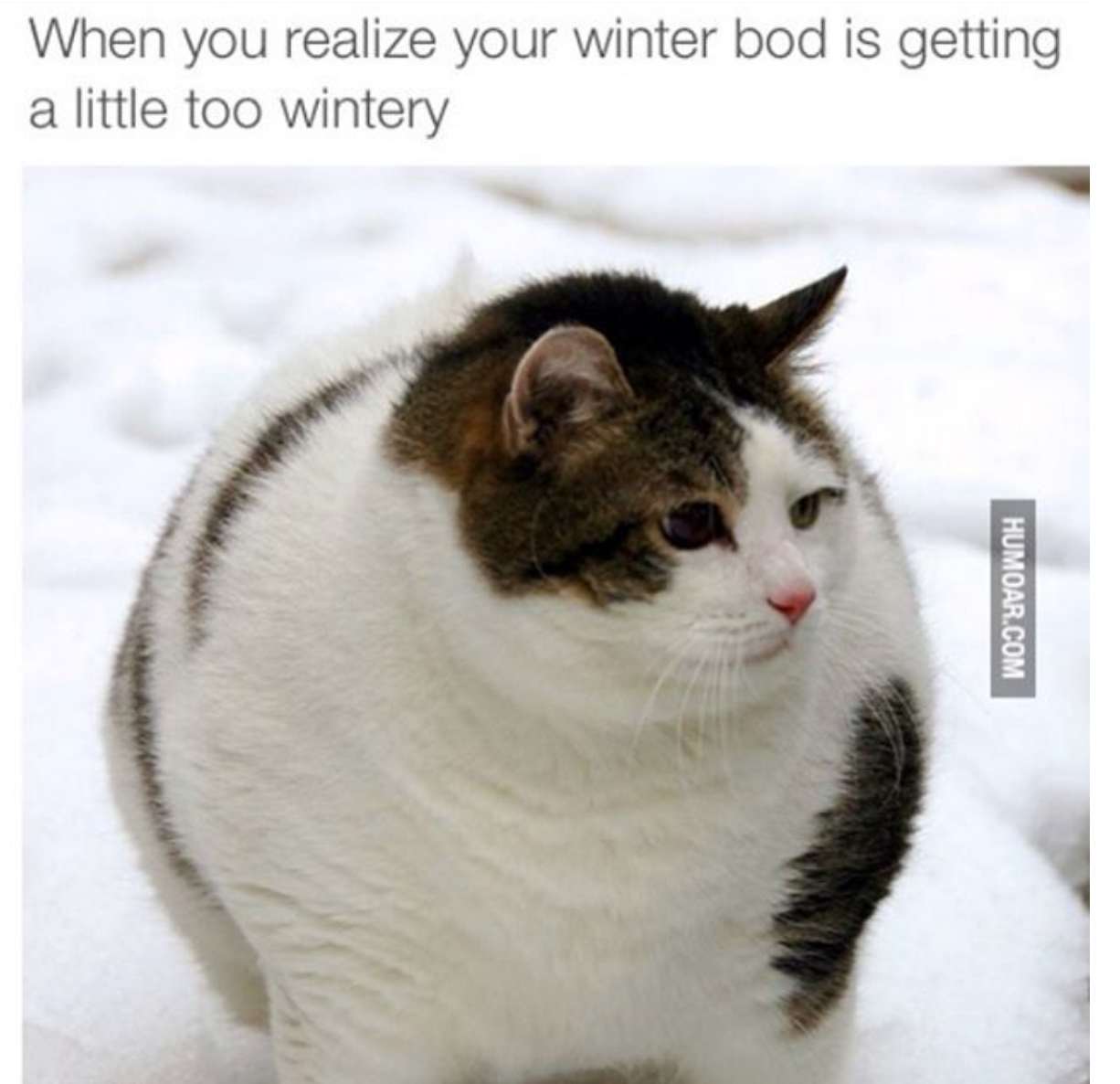 Relatable Winter Bod Relatable Winter Bod