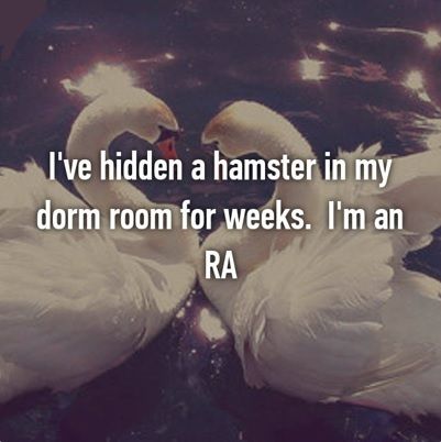 Via Whisper Via Whisper