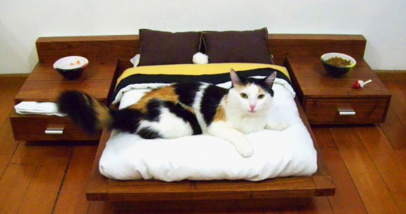 15 Ways To Make Your Home CatFriendly TheThings