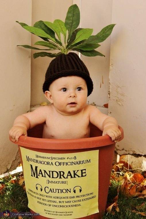 25 Harry Potter Themed Newborn Photoshoots That Will Leave You Speechless 25 Harry Potter Themed Newborn Photoshoots That Will Leave You Speechless