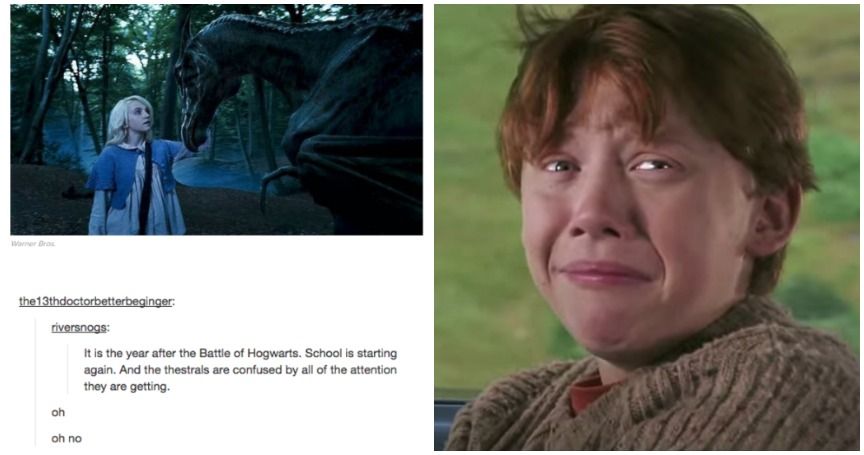 15 Times Tumblr Gave 'Harry Potter' Fans A Heavy Dose Of All The Feels