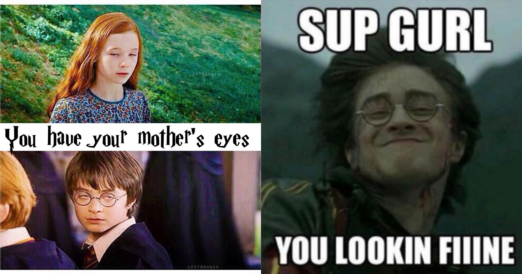 Harry Potter and the Nose of Voldemort - 9GAG