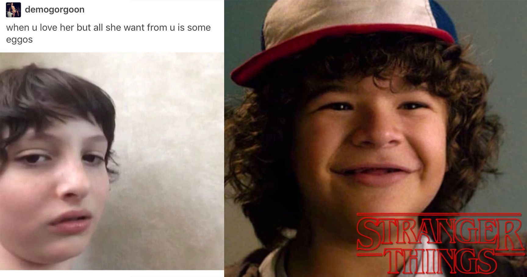 Stranger Things Memes That Will Give You Life TheThings