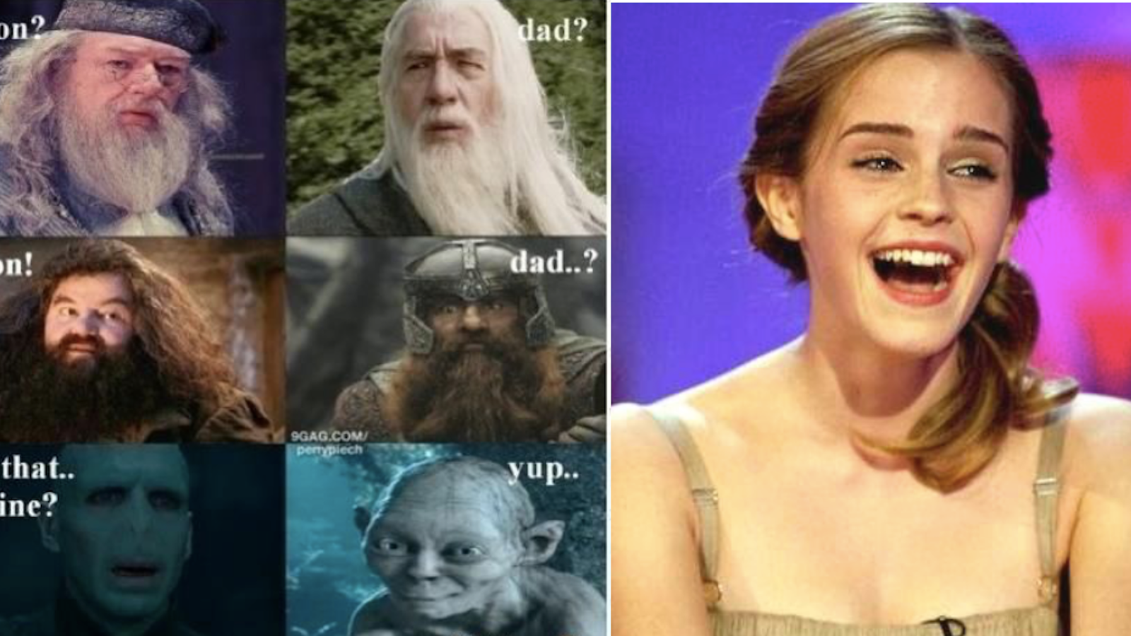 15 Harry Potter-Lord Of The Rings Crossover Memes That Made Us Laugh A  Little Too Hard