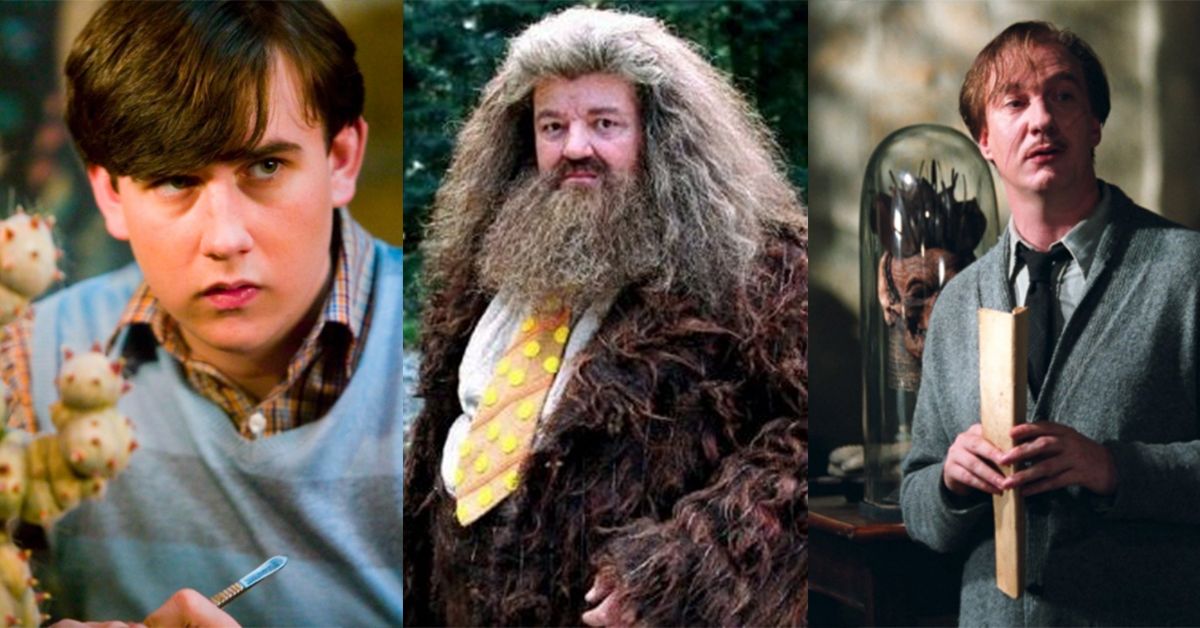 Guest Shattering Hogwarts House Stereotypes Hogwarts vrogue.co