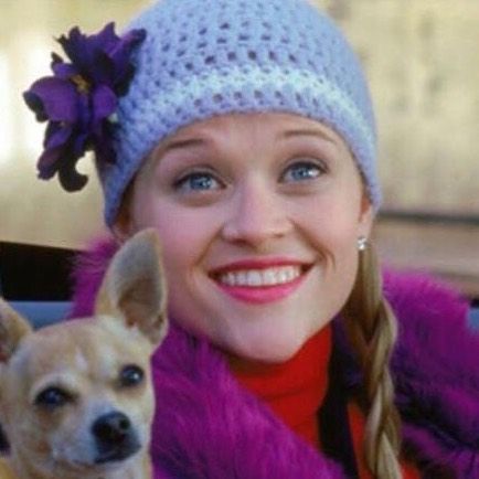 Legally Blonde 3' is Coming: 15 Things 