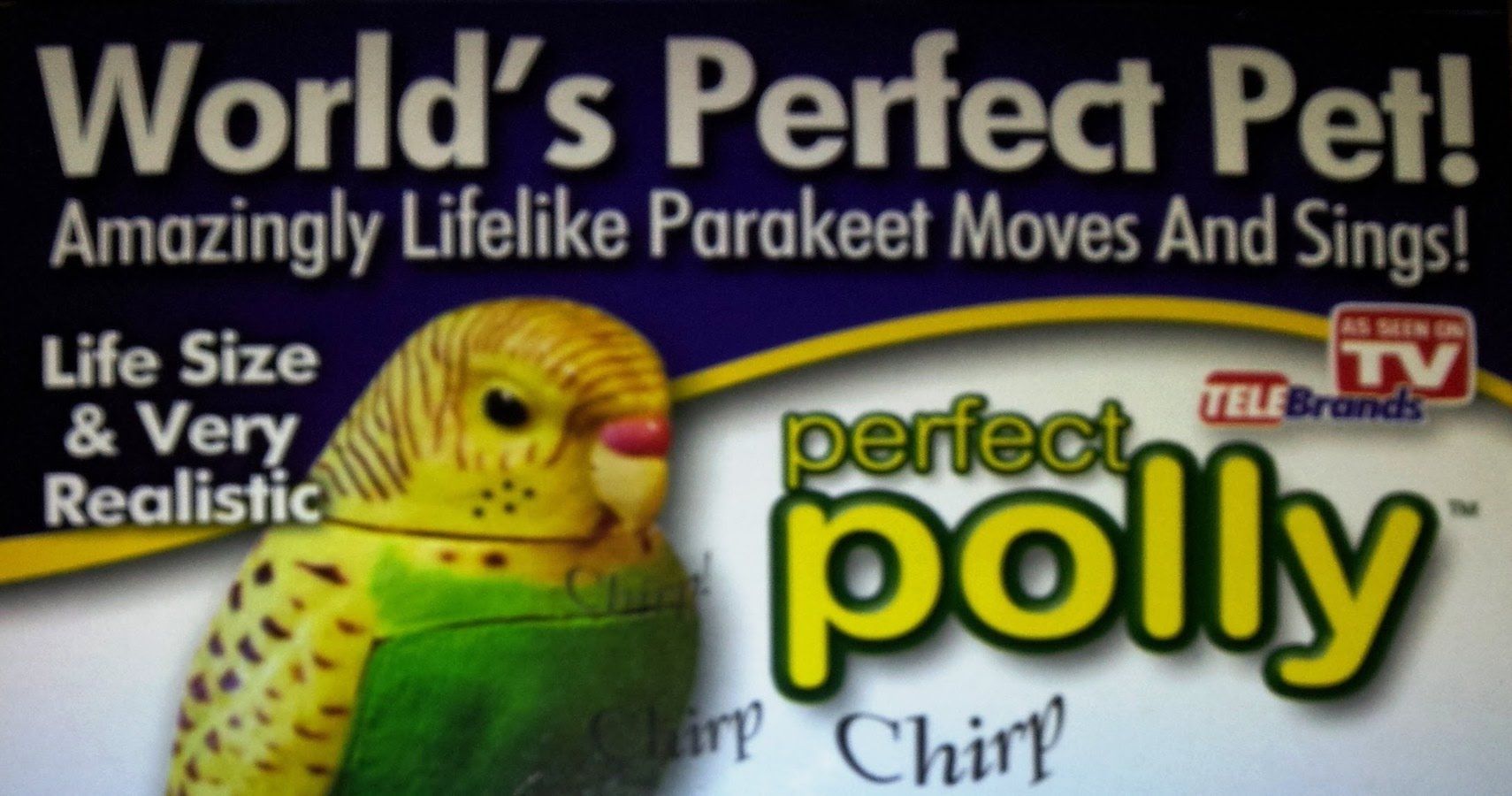 plastic parakeet buddy