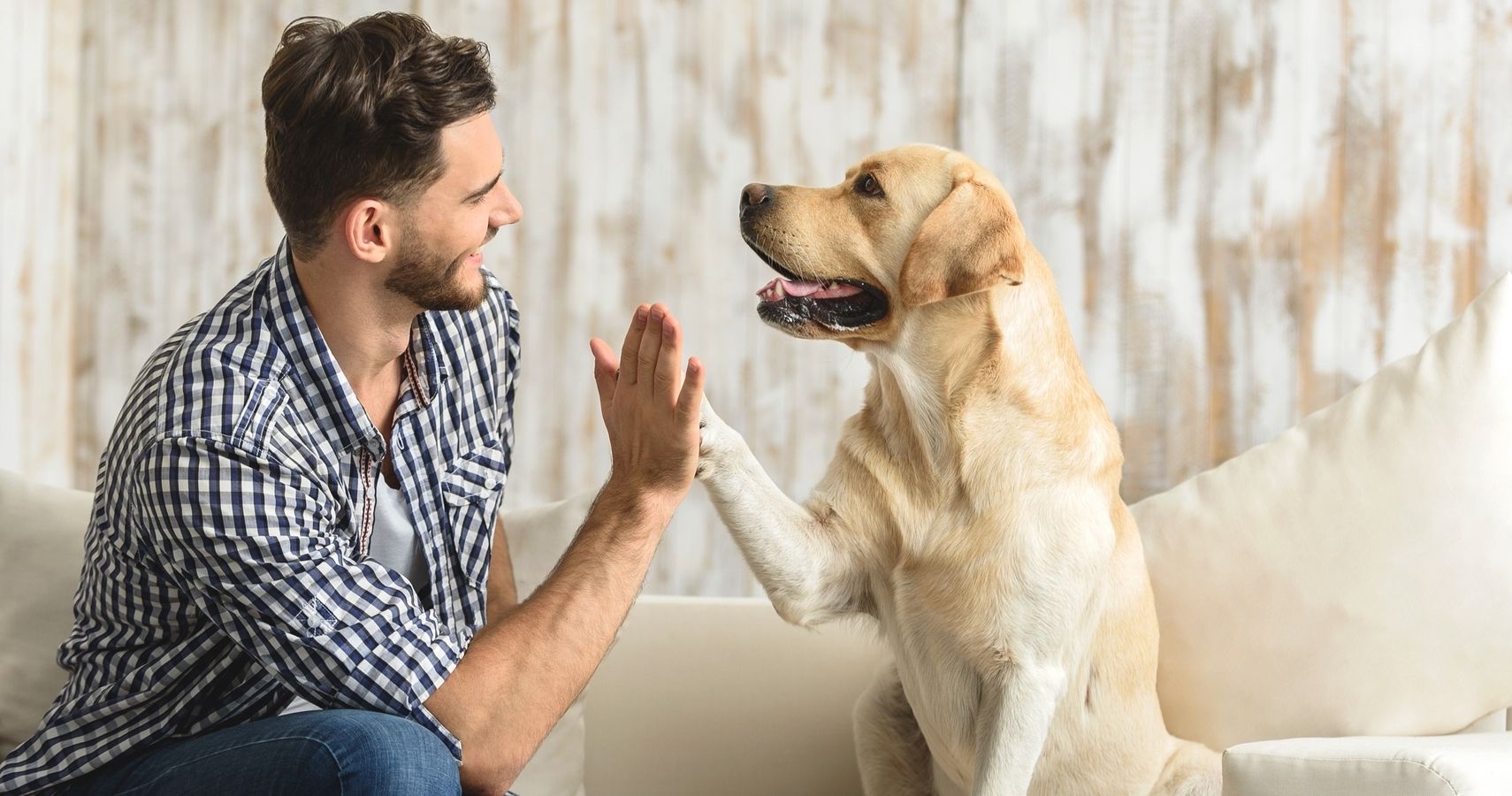 most-dog-people-will-leave-a-romantic-partner-their-pooch-doesn-t-like