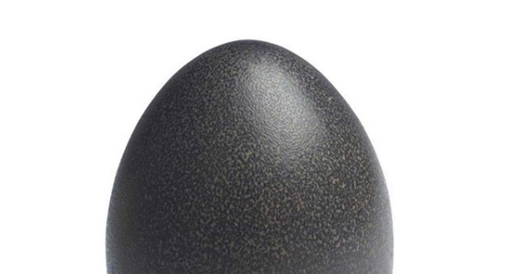 A New Egg Has Appeared To Overthrow The Most Liked Instagram Pic Ever