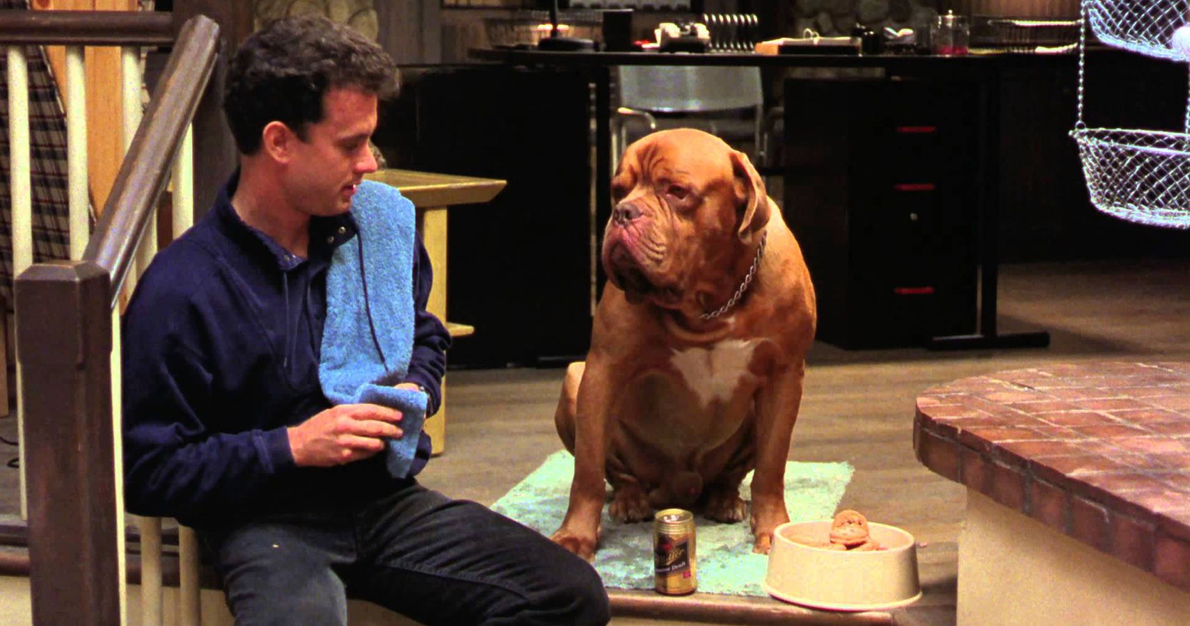 10 Best Dog Movies Of All Time