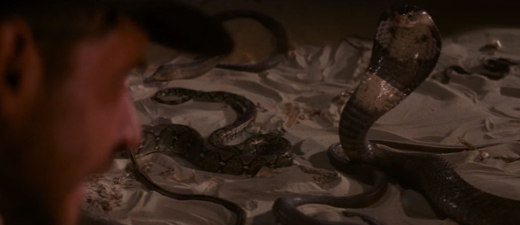 The Cobra In Raiders Of The Lost Ark