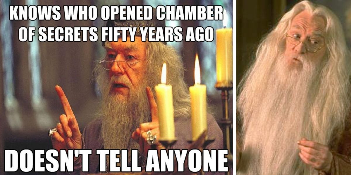 Harry Potter: 10 Memes That Prove Dumbledore Was A Villain