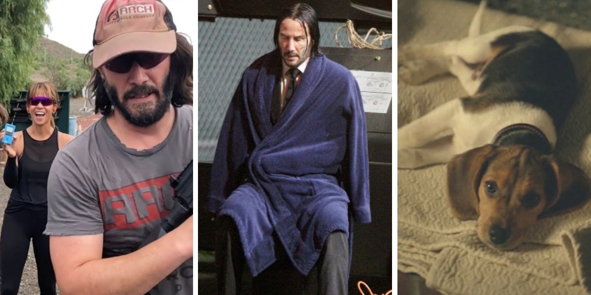 The Unseen Truth About John Wick 2017 That Will Shock You