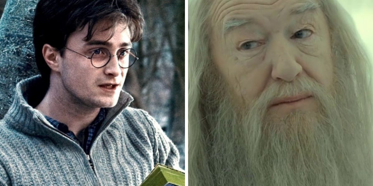 20 Things Fans Ignore About Harry & Dumbledore's Relationship