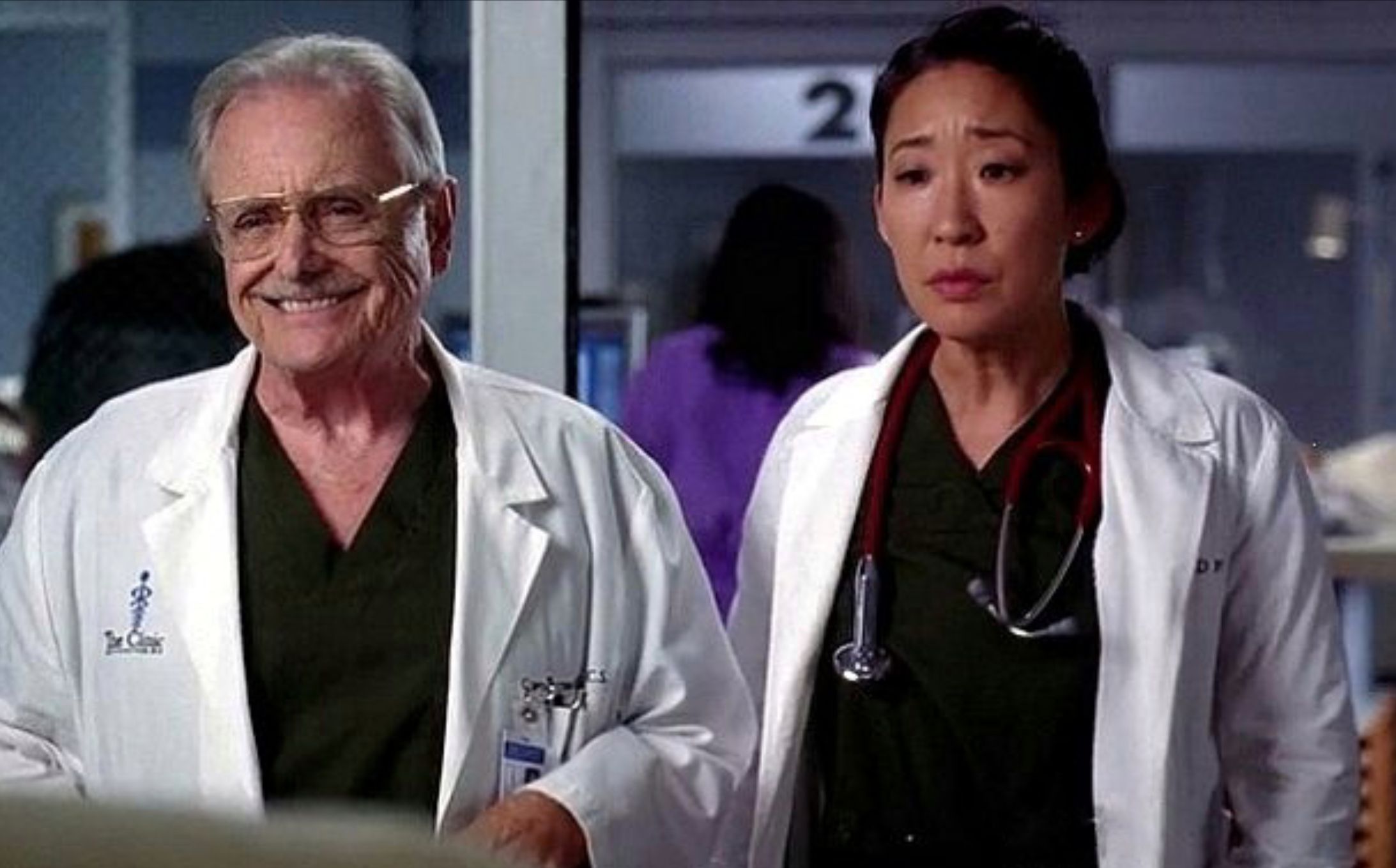 Grey's Anatomy 15 Confusing Things About Meredith And Cristina's