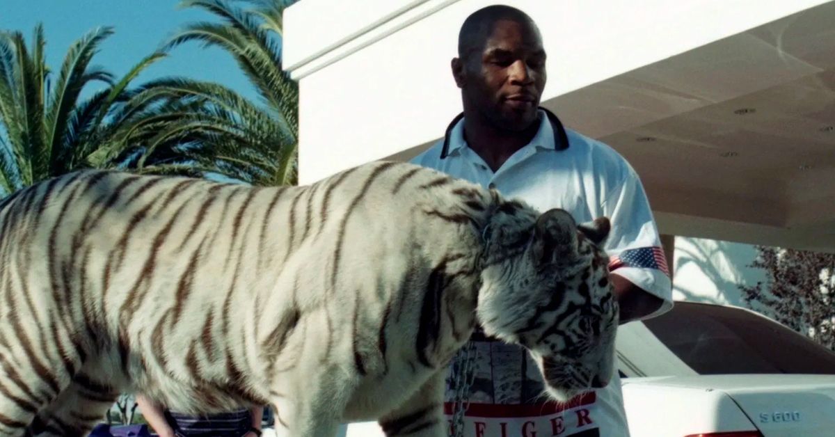 Mike Tyson And His Bengal Tiger