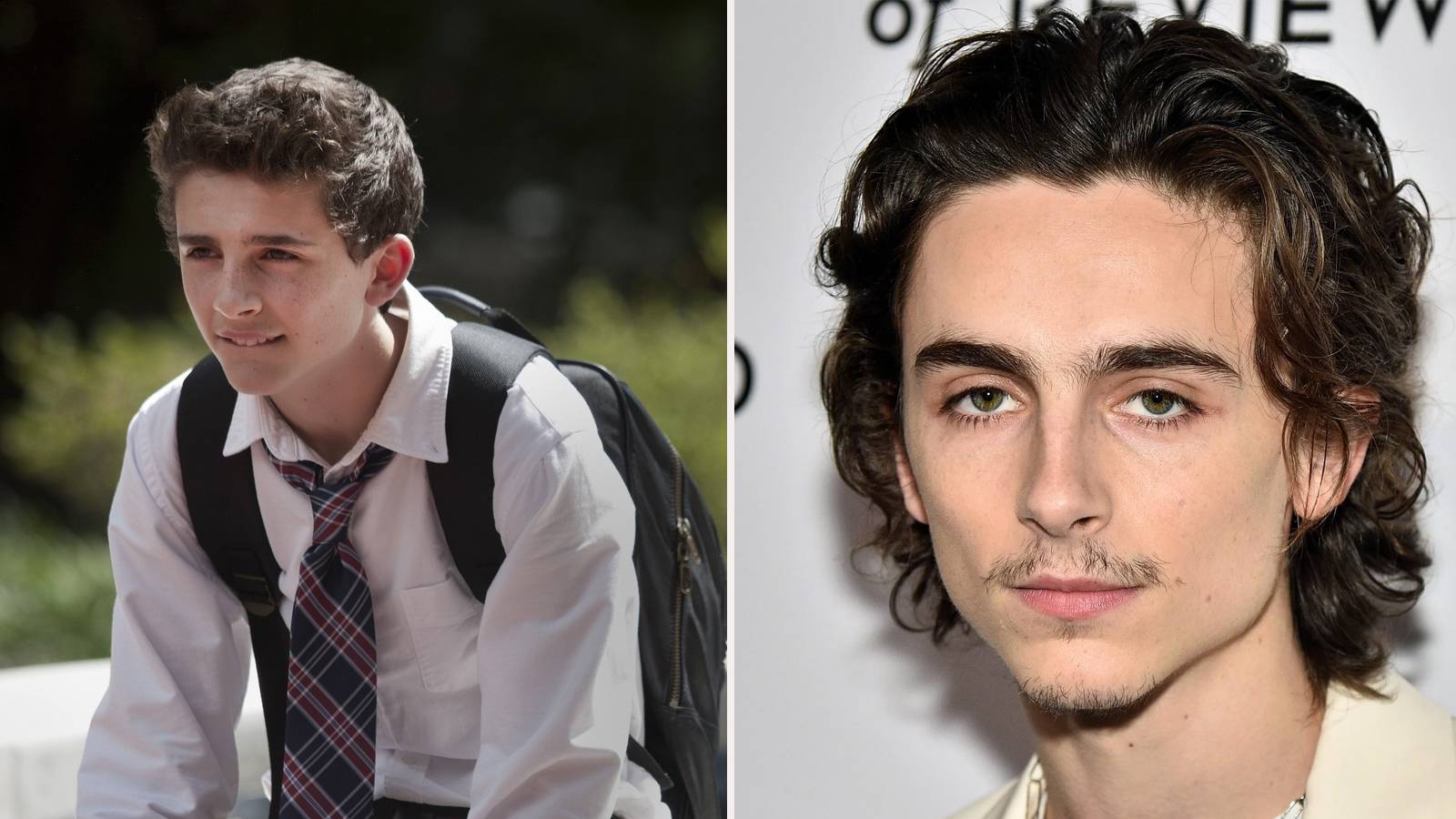 Here's Who Timothee Chalamet Was Before The Fame