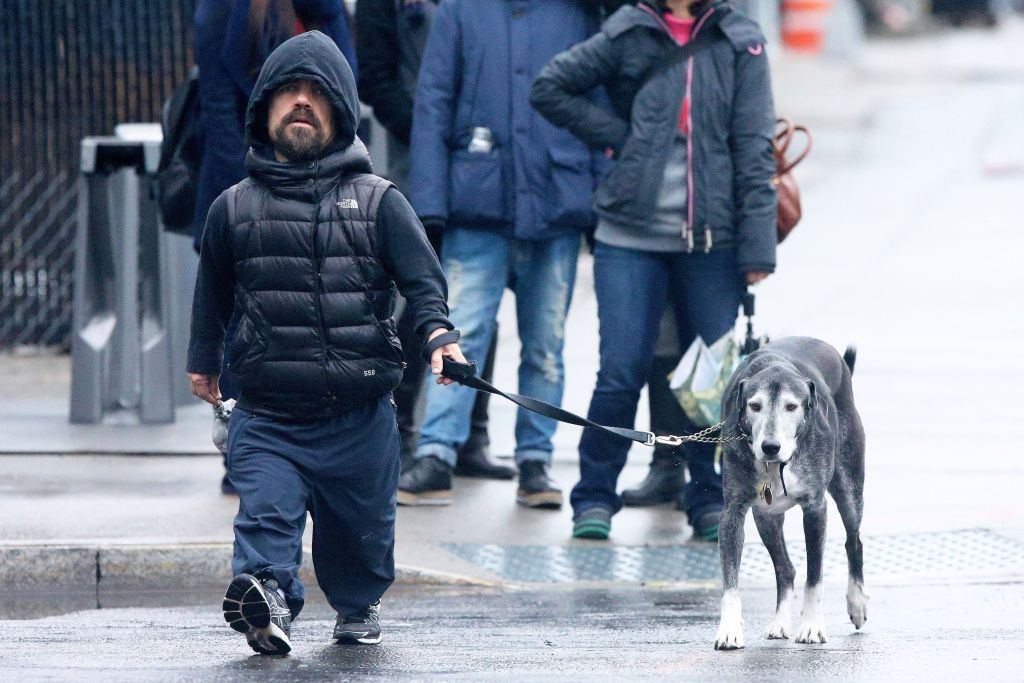 Peter Dinklage walking his dog