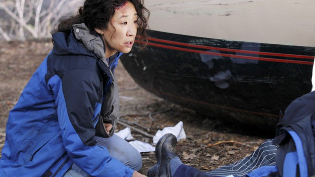 Cristina Yang Plane Crash Episode 