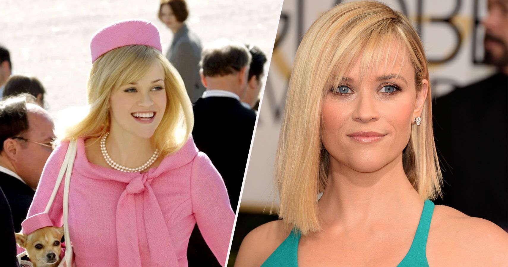 17 DIY Legally Blonde Costume Ideas for Halloween
