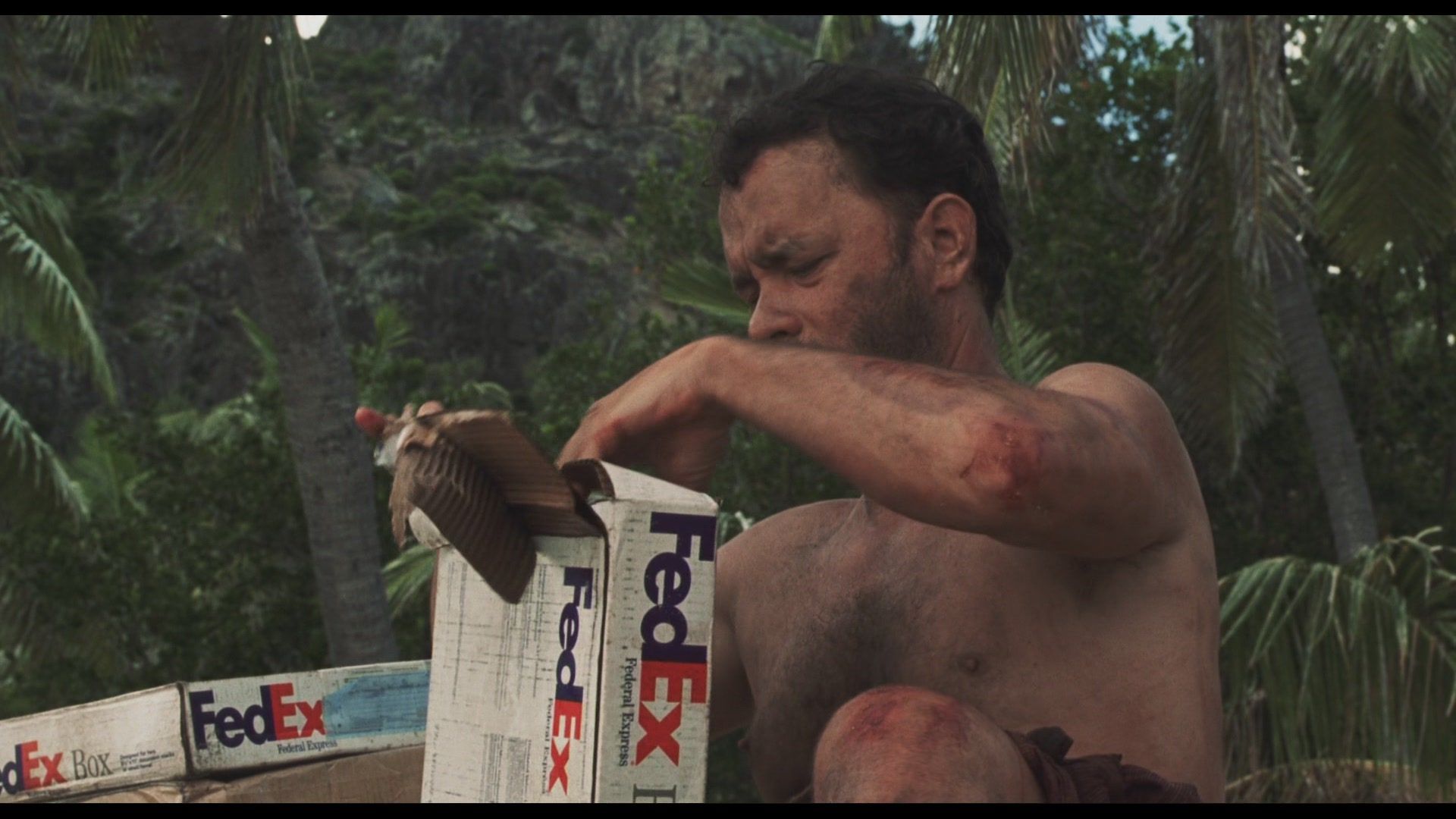 Tom Hanks' 50 Lb. 'Cast Away' Weight Loss Led the Director to Make Another  Hit Movie