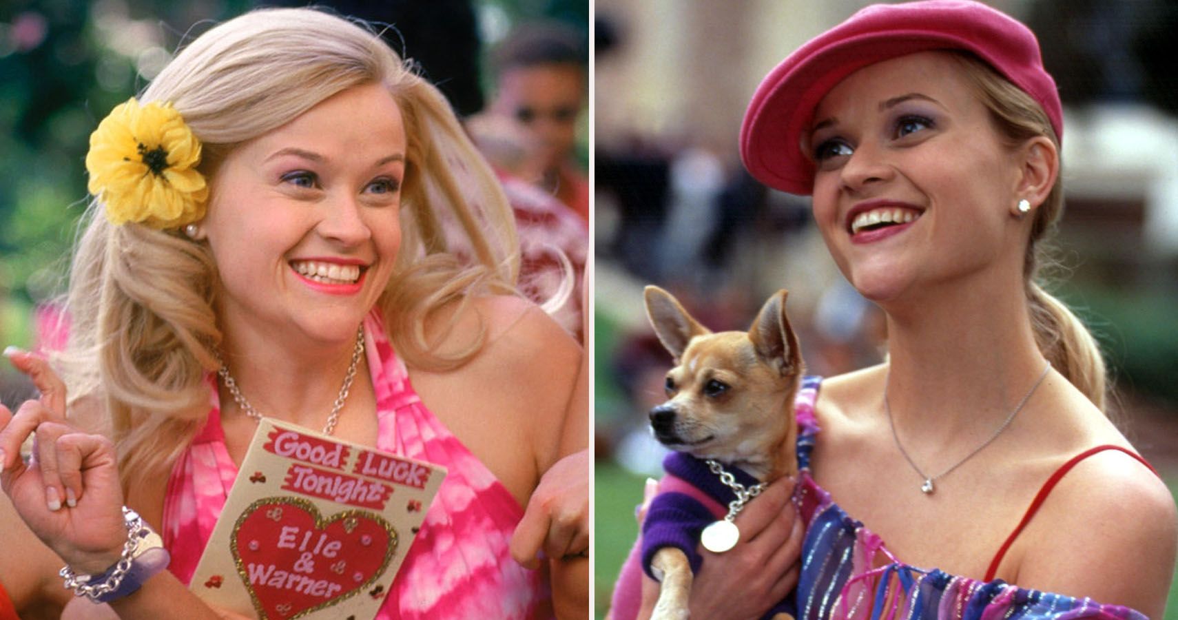 15 Fun Facts You Didnt Know About Legally Blonde 