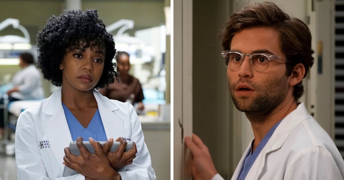 Grey's Anatomy: Interns Ranked From Useless To Valuable