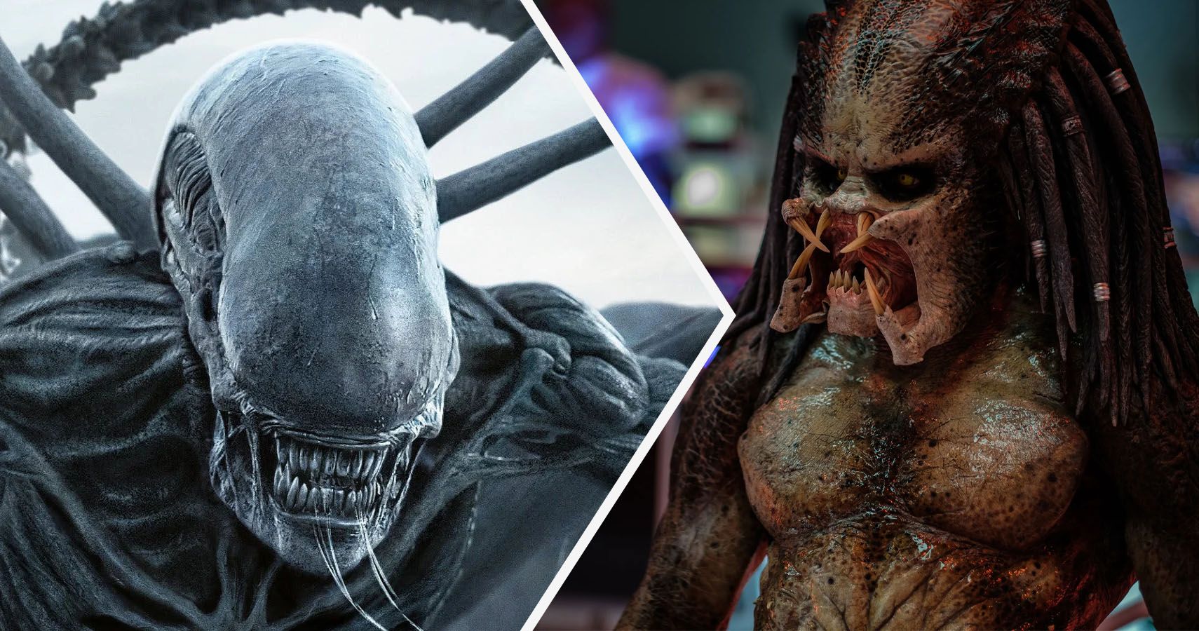 download alien vs predator new movie