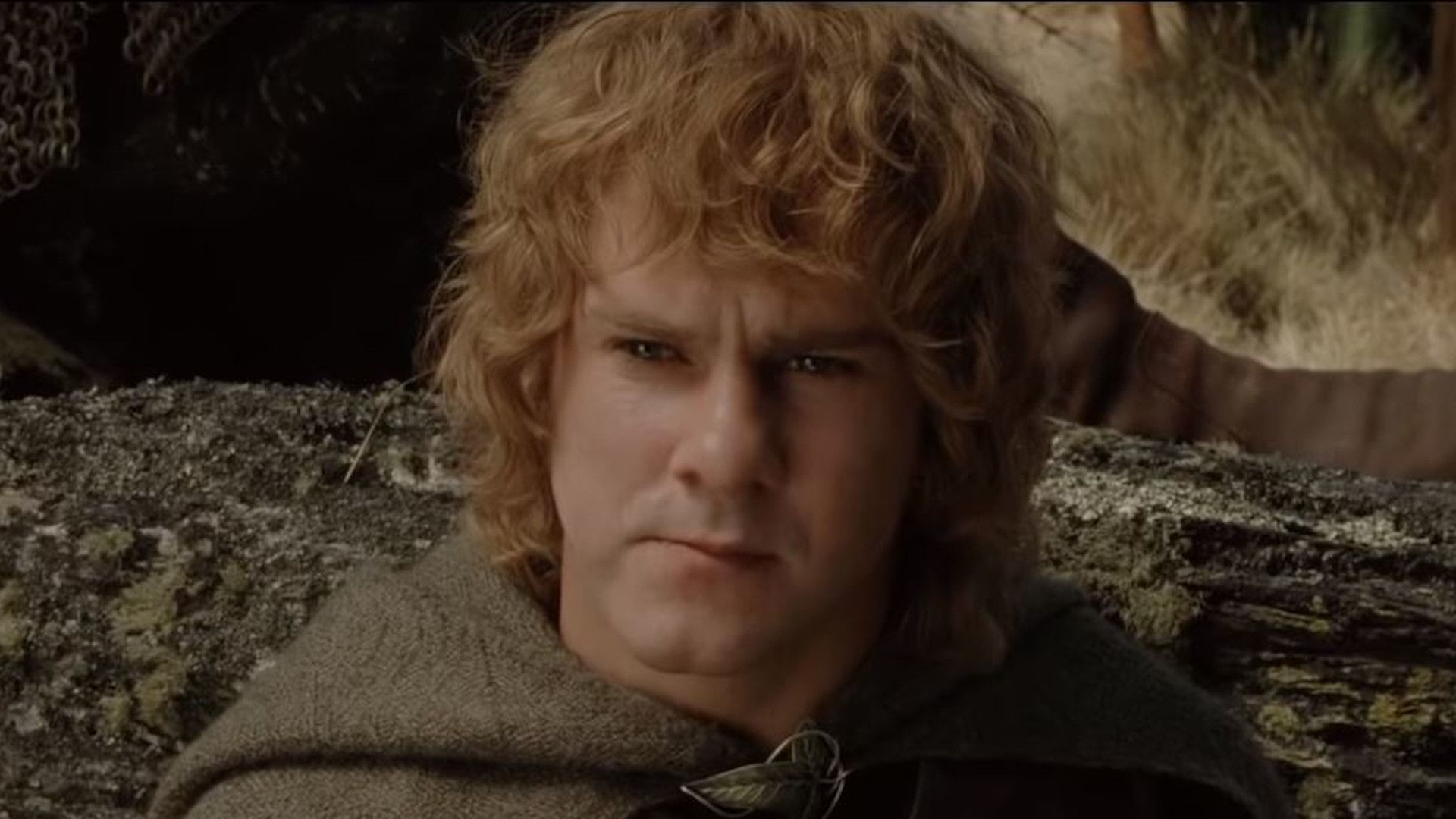 Dominic Monaghan in Lord of the Rings