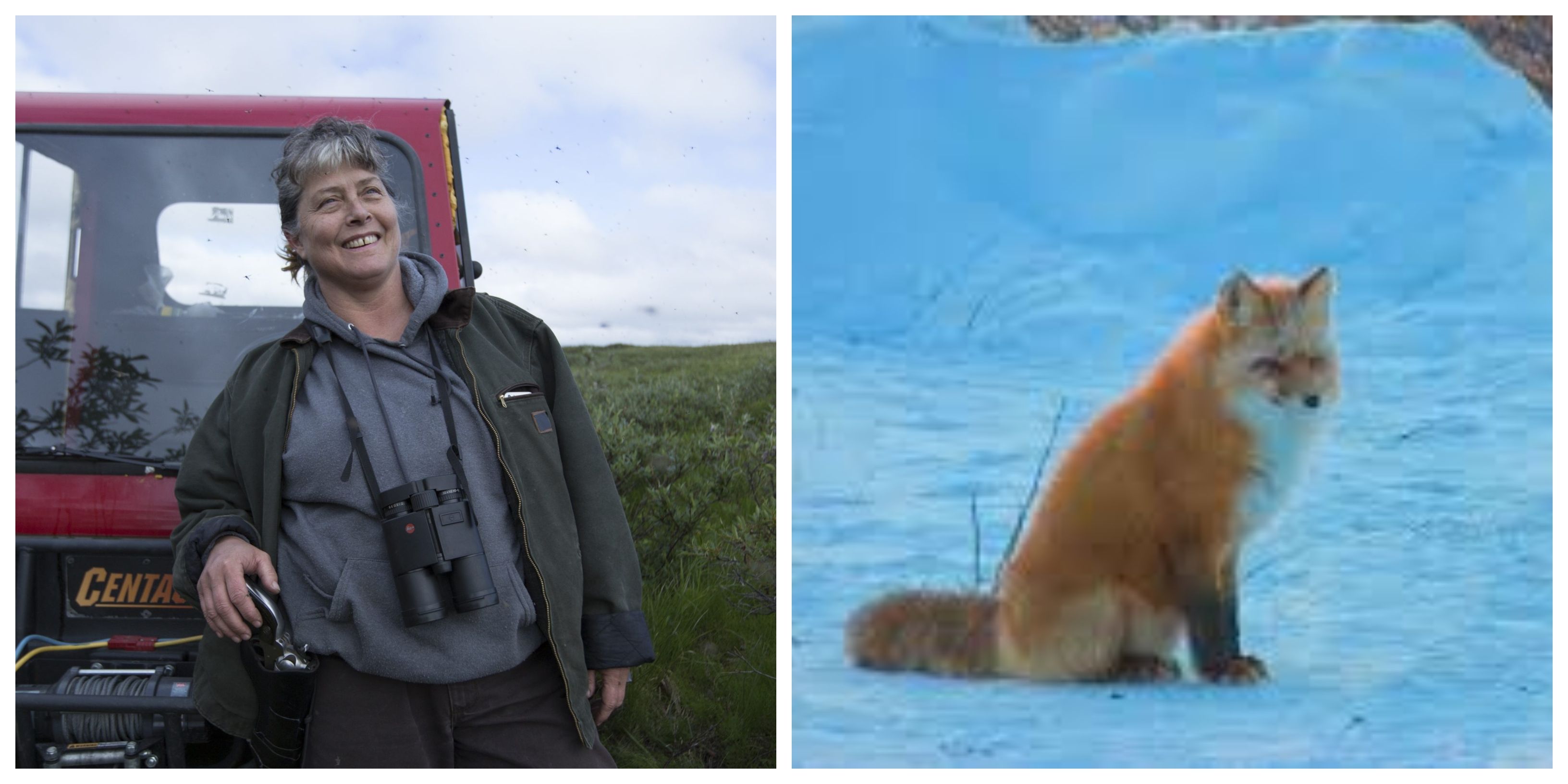 Cast Of Life Below Zero