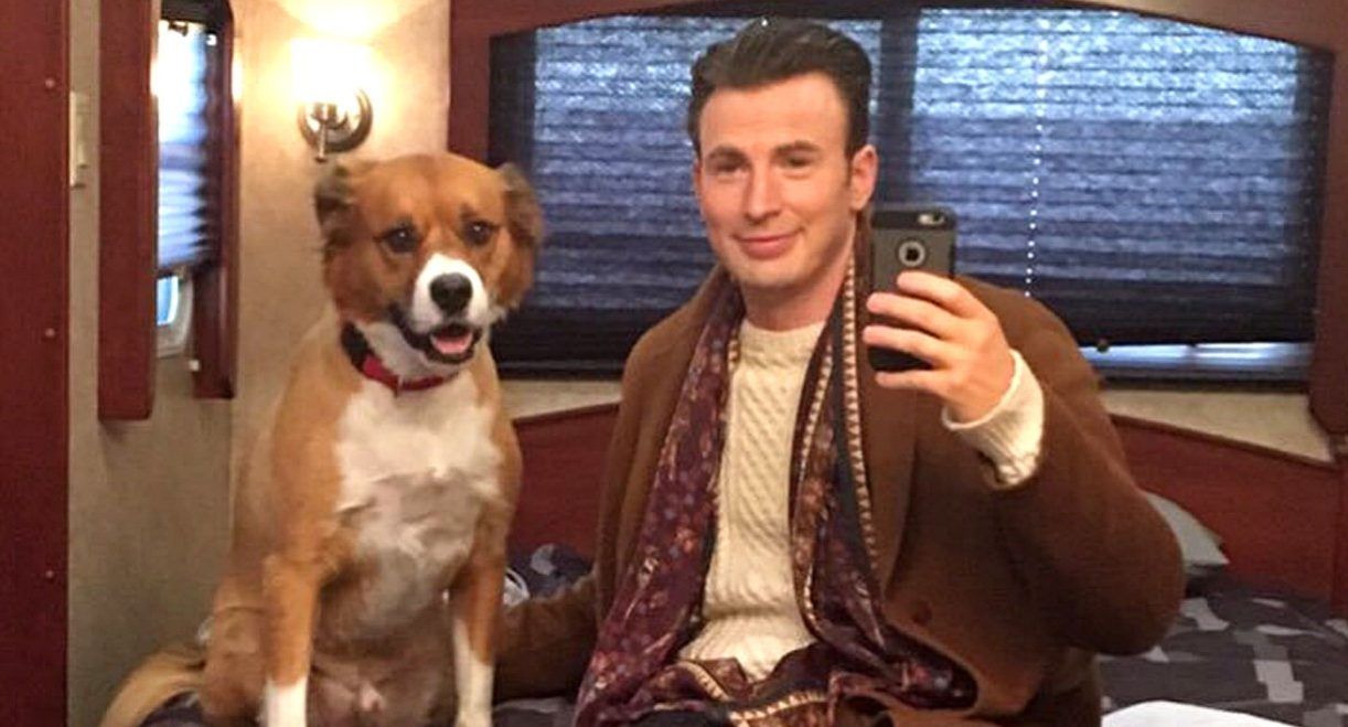 Chris Evans Reveals Why He Named His Dog Dodger