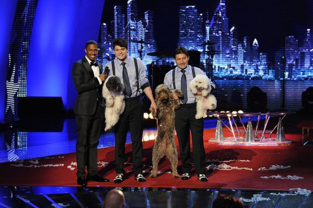 The Olate Dogs on America's Got Talent after their performance.