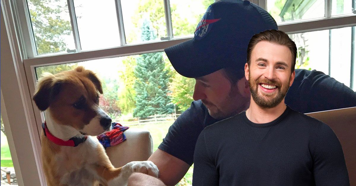 Chris Evans' Dog Dodger Licks His Face In Candid Photo Before Hip Surgery