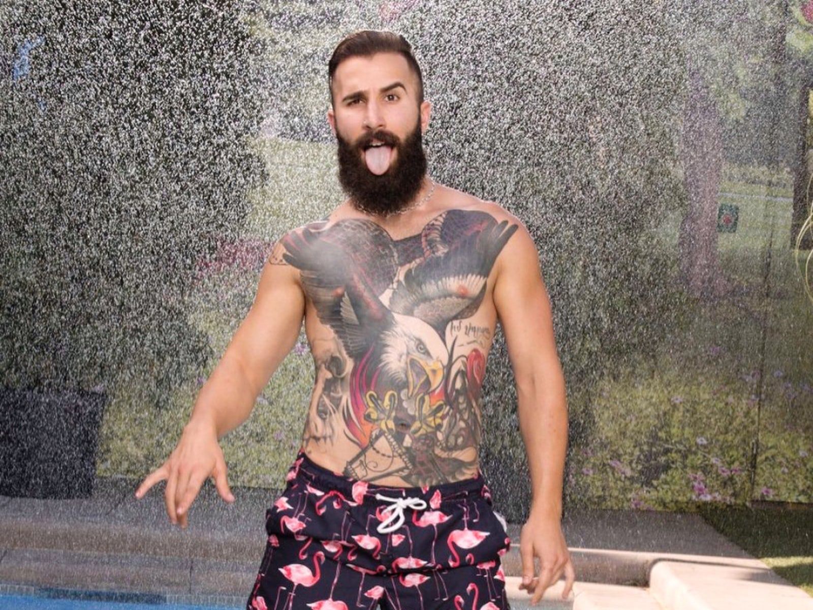 big brother harry potter paul abrahamian