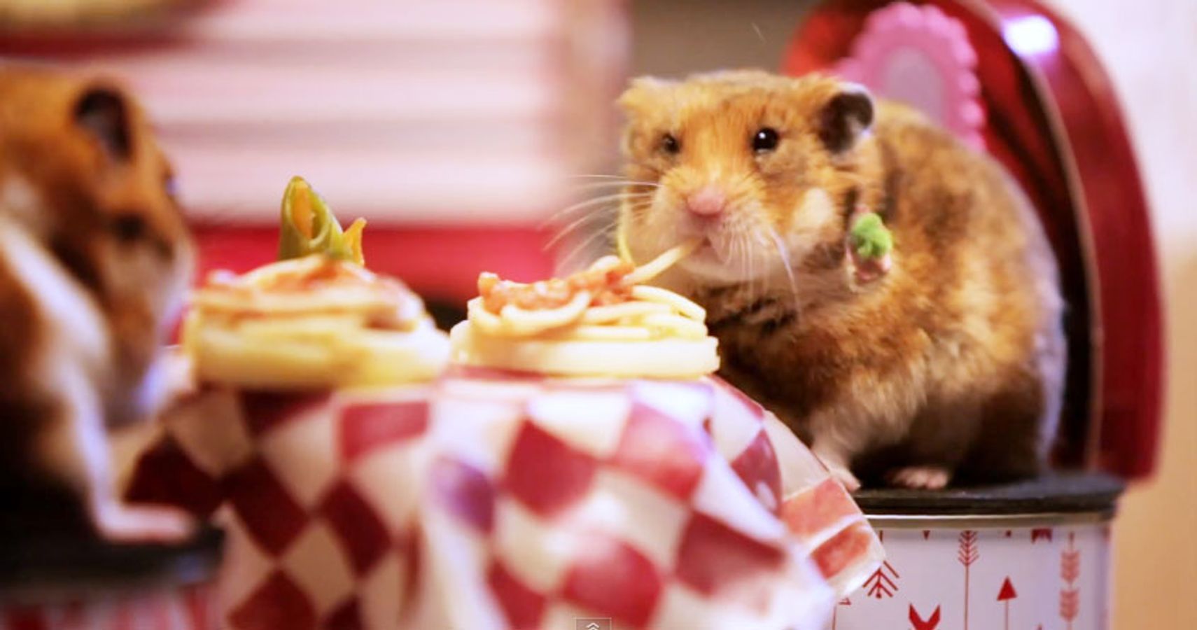 hamster burger