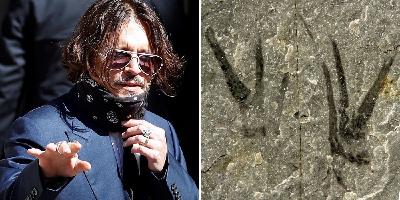 Here's Why Johnny Depp Got A Fossil Named After Him