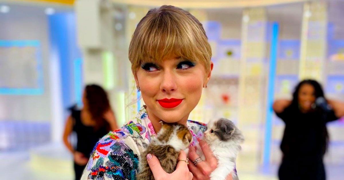 Addison Rae Just Got A Cat That Looks A Whole Lot Like Taylor Swift's Cat