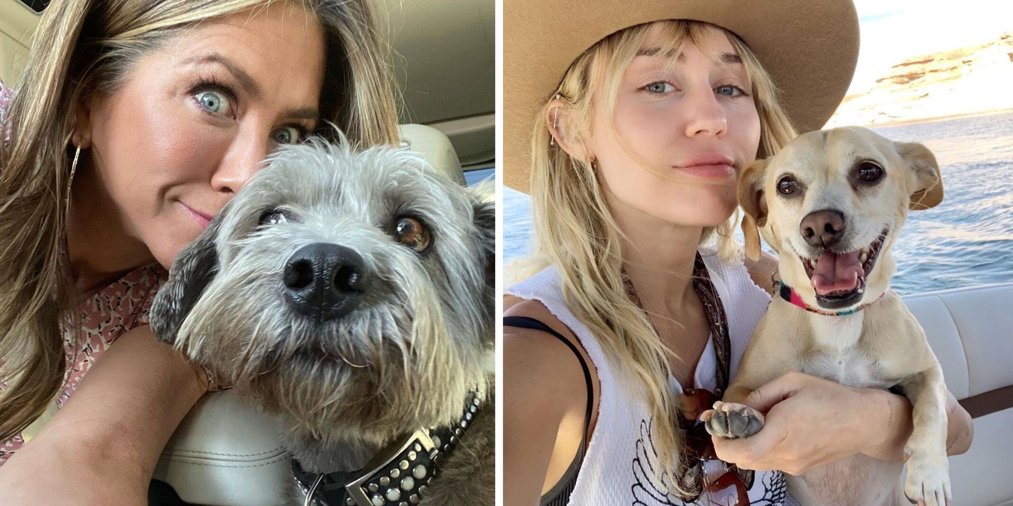 12 Celebs Who Embarrassingly Photoshop Their Selfies