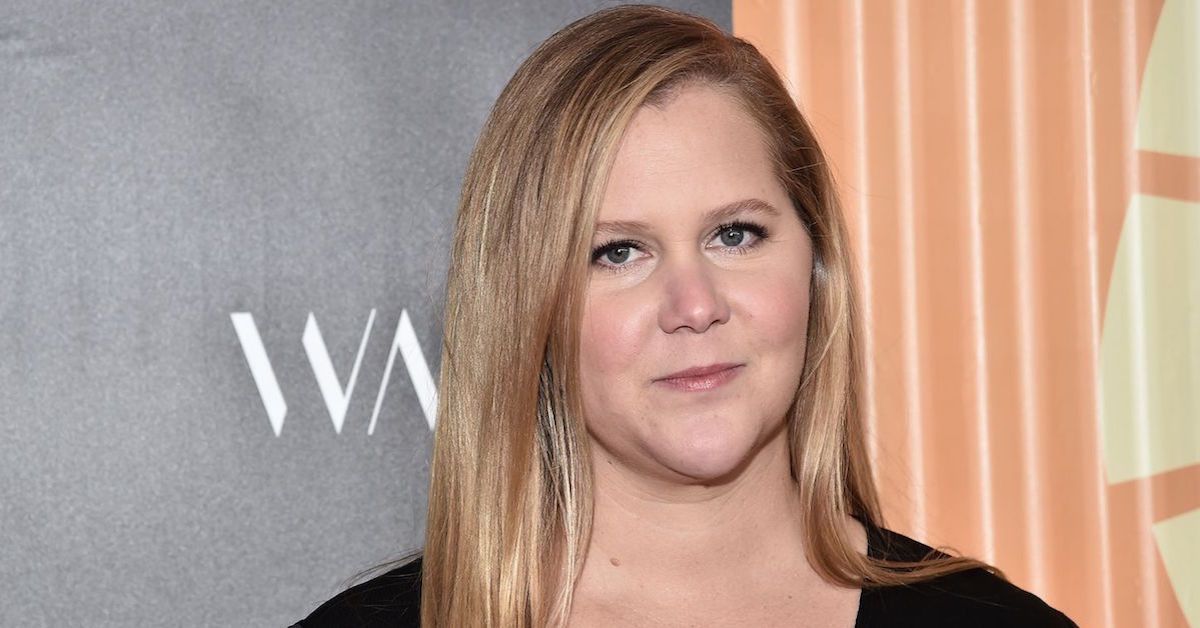 Amy Schumer Took The Bernie Meme To A Whole New Level