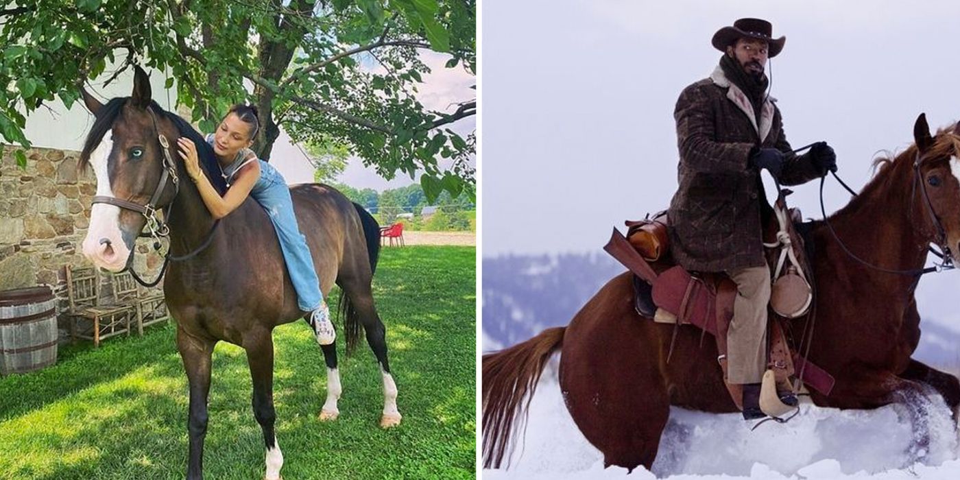 celebrities who are horse enthusiasts