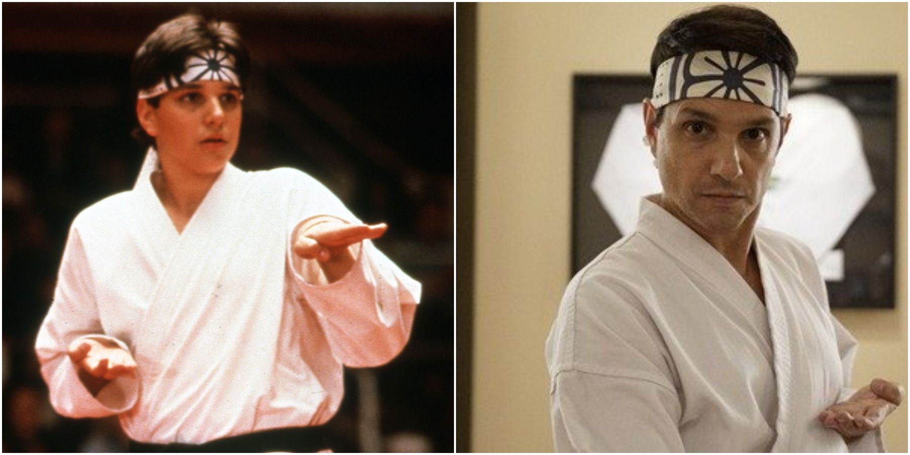 10 Things Ralph Macchio Did Between The OG 'Karate Kid' & 'Cobra Kai'