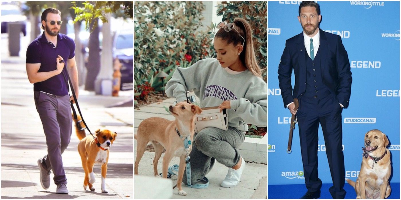 these celebrities adopted rescue dogs