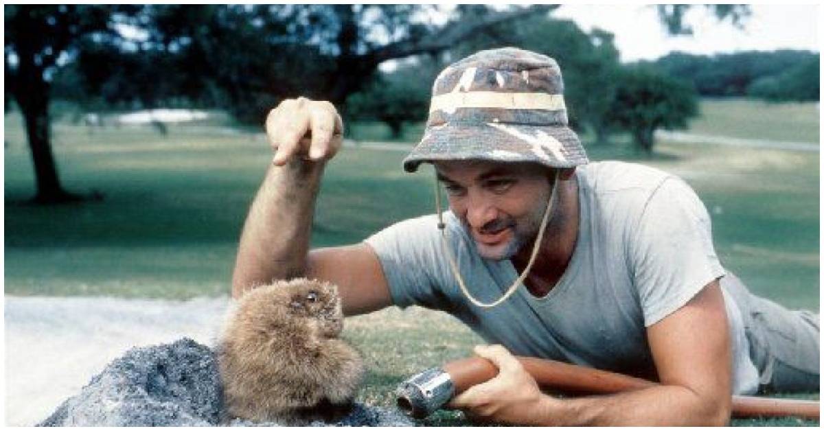 The True Origin Of Bill Murray's 'Caddyshack'