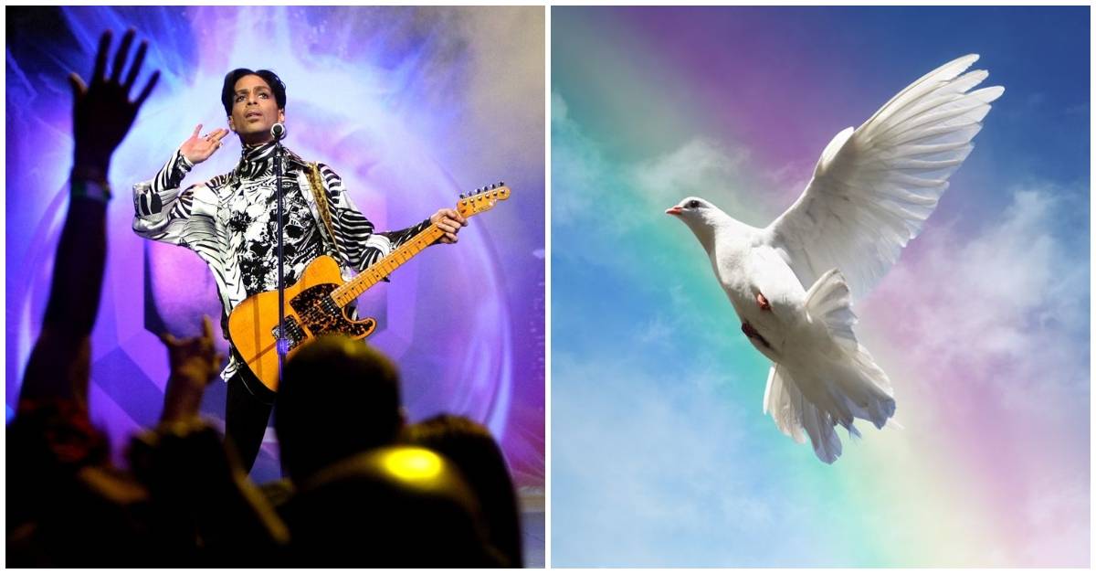 Prince Had A Long History With Doves, And Here's Why