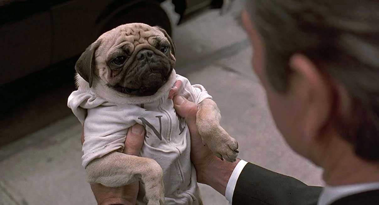 Frank the pug played by Mushu in 'Men in Black'